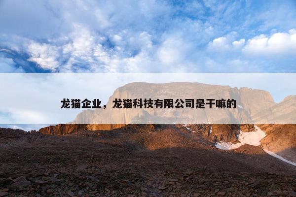 龙猫企业，龙猫科技有限公司是干嘛的