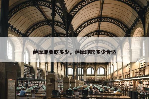 萨摩耶要吃多少，萨摩耶吃多少合适