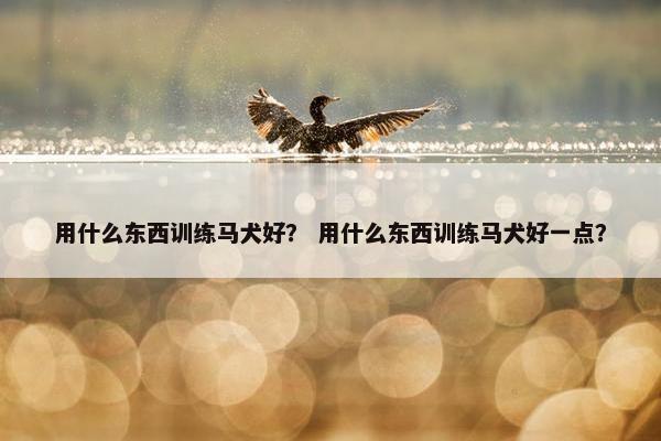 用什么东西训练马犬好？ 用什么东西训练马犬好一点？