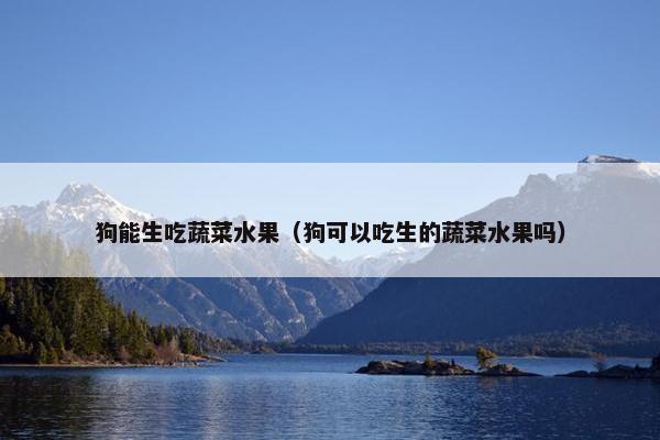 狗能生吃蔬菜水果（狗可以吃生的蔬菜水果吗）