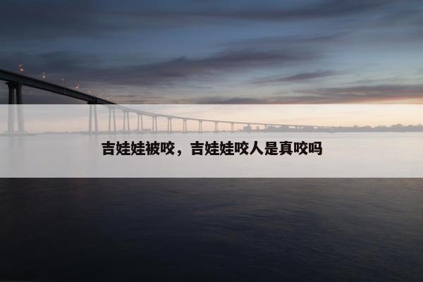 吉娃娃被咬，吉娃娃咬人是真咬吗