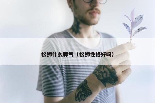 松狮什么脾气（松狮性格好吗）
