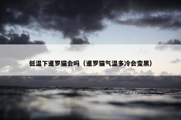低温下暹罗猫会吗（暹罗猫气温多冷会变黑）