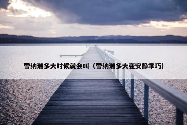 雪纳瑞多大时候就会叫（雪纳瑞多大变安静乖巧）