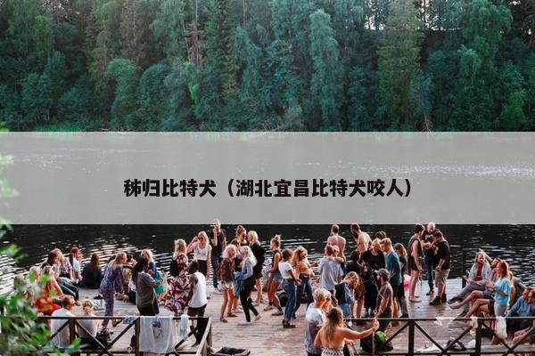 秭归比特犬（湖北宜昌比特犬咬人）