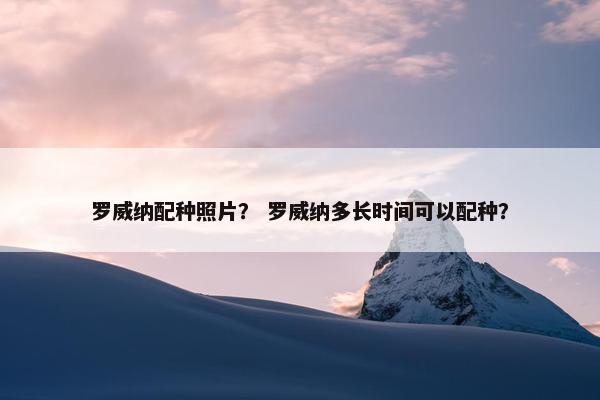罗威纳配种照片？ 罗威纳多长时间可以配种？