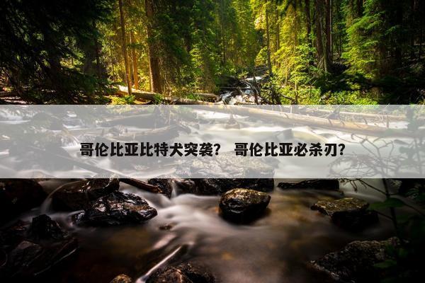 哥伦比亚比特犬突袭？ 哥伦比亚必杀刃？