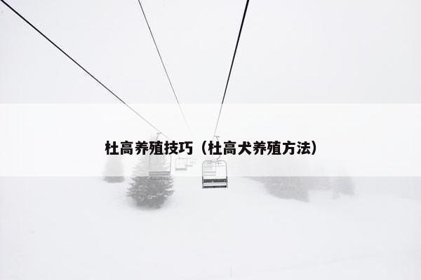 杜高养殖技巧（杜高犬养殖方法）