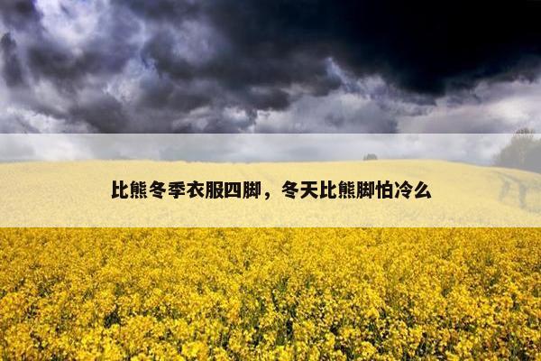 比熊冬季衣服四脚，冬天比熊脚怕冷么