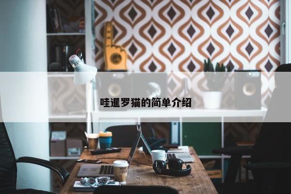 哇暹罗猫的简单介绍