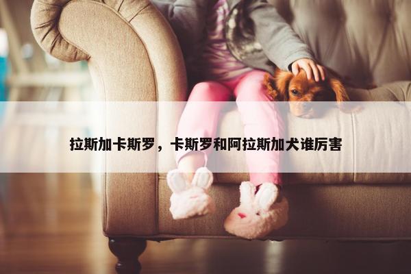 拉斯加卡斯罗，卡斯罗和阿拉斯加犬谁厉害