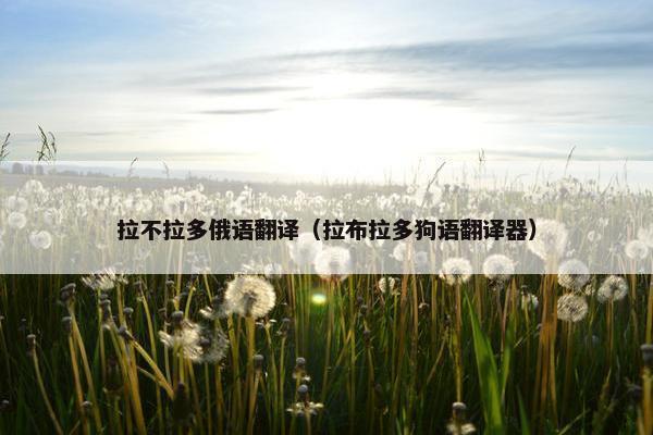 拉不拉多俄语翻译（拉布拉多狗语翻译器）