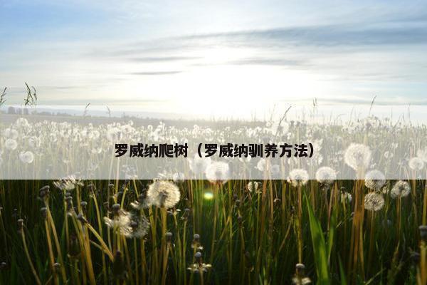 罗威纳爬树（罗威纳驯养方法）