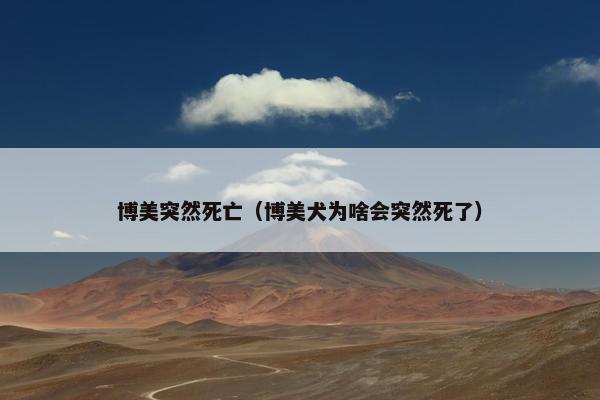 博美突然死亡（博美犬为啥会突然死了）