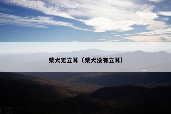 柴犬无立耳（柴犬没有立耳）