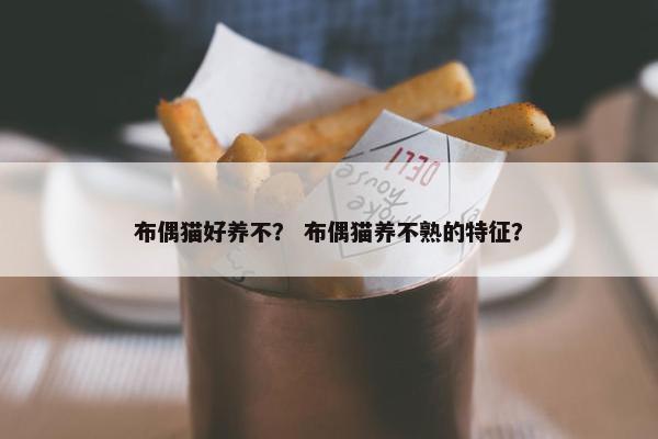 布偶猫好养不？ 布偶猫养不熟的特征？