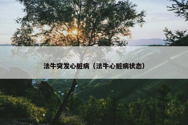 法牛突发心脏病（法牛心脏病状态）