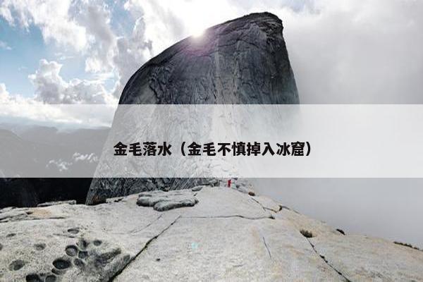 金毛落水（金毛不慎掉入冰窟）