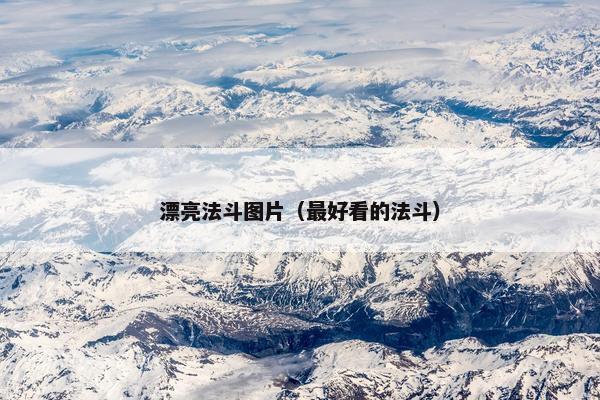 漂亮法斗图片（最好看的法斗）