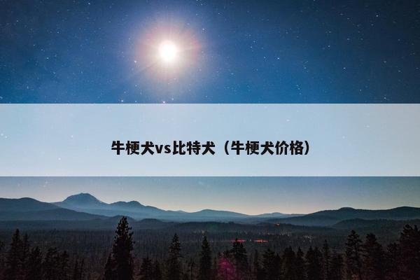 牛梗犬vs比特犬（牛梗犬价格）
