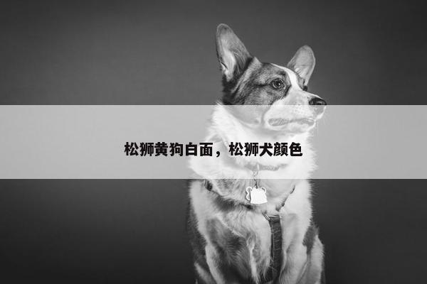 松狮黄狗白面，松狮犬颜色