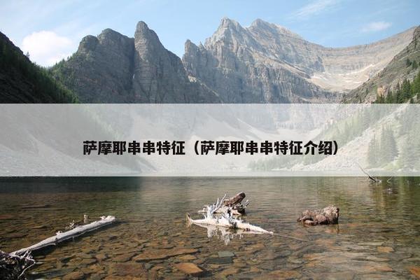 萨摩耶串串特征（萨摩耶串串特征介绍）