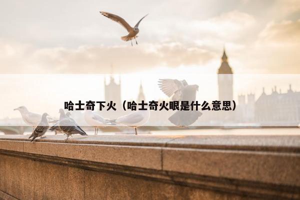 哈士奇下火（哈士奇火眼是什么意思）
