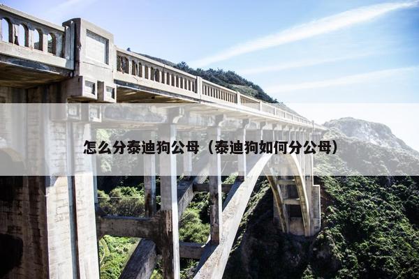 怎么分泰迪狗公母（泰迪狗如何分公母）