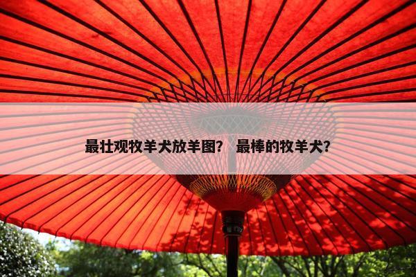最壮观牧羊犬放羊图？ 最棒的牧羊犬？