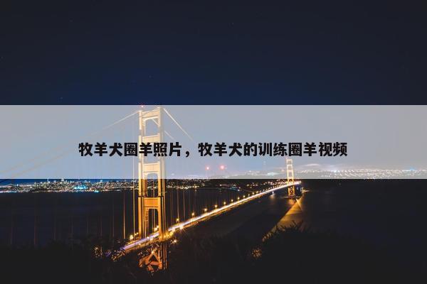 牧羊犬圈羊照片，牧羊犬的训练圈羊视频