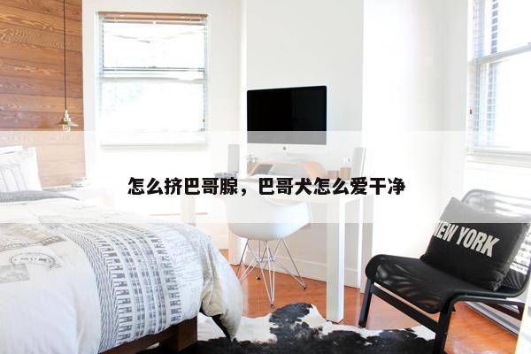 怎么挤巴哥腺，巴哥犬怎么爱干净