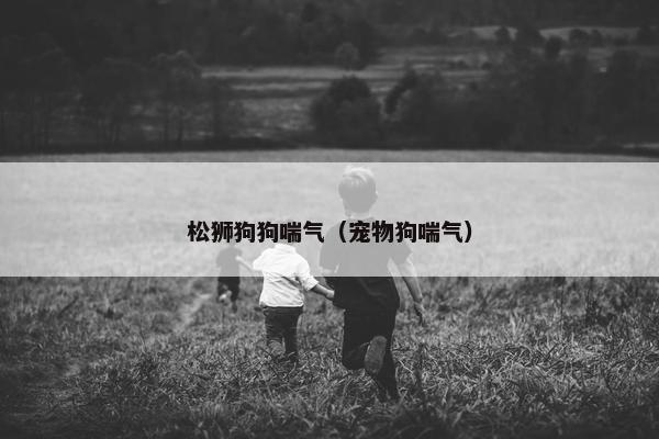 松狮狗狗喘气（宠物狗喘气）