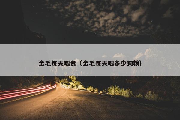 金毛每天喂食（金毛每天喂多少狗粮）