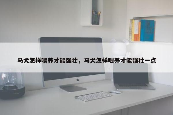 马犬怎样喂养才能强壮，马犬怎样喂养才能强壮一点