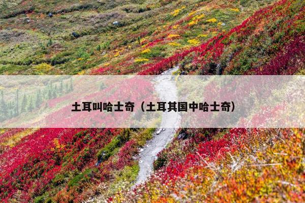 土耳叫哈士奇（土耳其国中哈士奇）