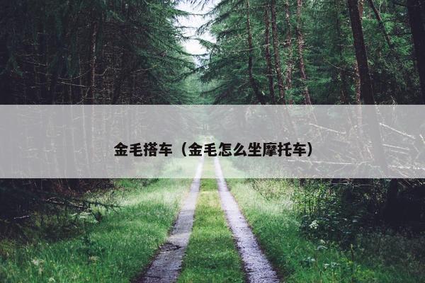金毛搭车（金毛怎么坐摩托车）