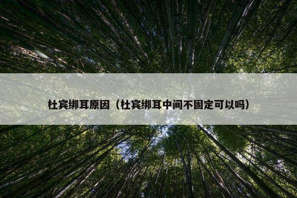 杜宾绑耳原因（杜宾绑耳中间不固定可以吗）