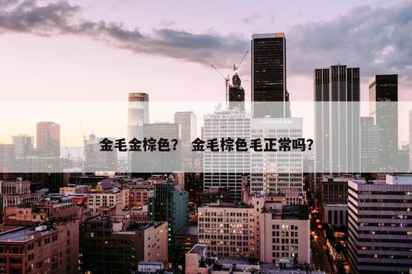金毛金棕色？ 金毛棕色毛正常吗？