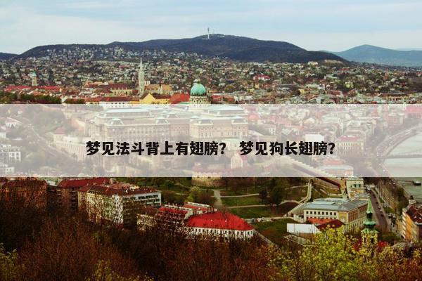 梦见法斗背上有翅膀？ 梦见狗长翅膀？