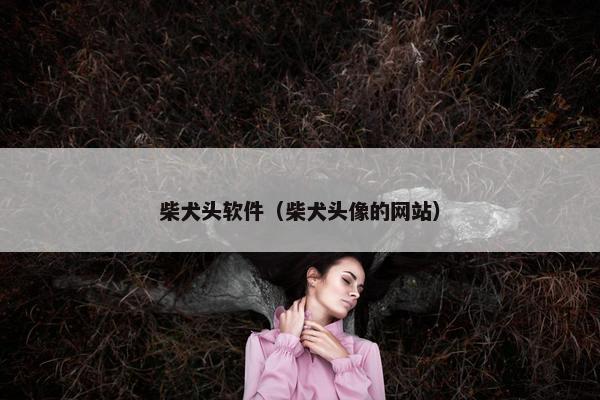 柴犬头软件（柴犬头像的网站）
