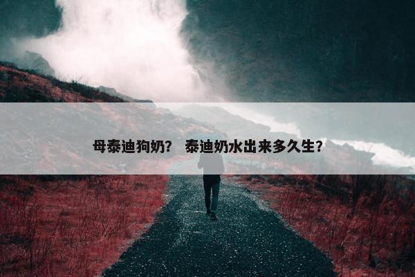 母泰迪狗奶？ 泰迪奶水出来多久生？