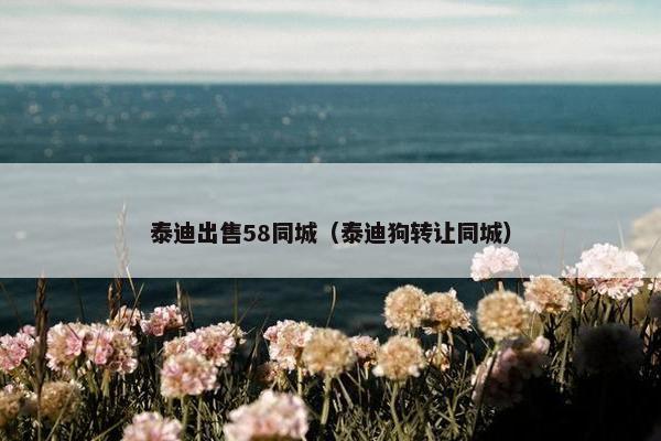 泰迪出售58同城（泰迪狗转让同城）
