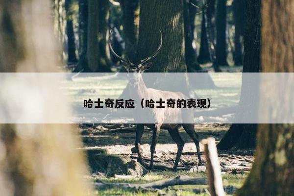 哈士奇反应（哈士奇的表现）