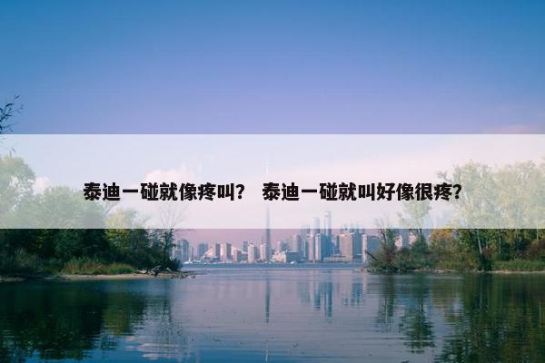泰迪一碰就像疼叫？ 泰迪一碰就叫好像很疼？