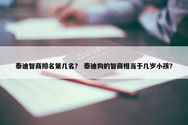 泰迪智商排名第几名？ 泰迪狗的智商相当于几岁小孩？