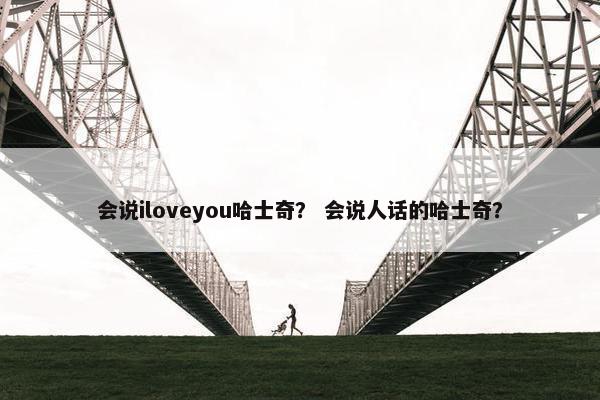 会说iloveyou哈士奇？ 会说人话的哈士奇？