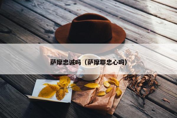 萨摩忠诚吗（萨摩耶忠心吗）