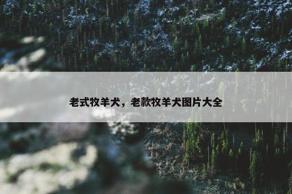 老式牧羊犬，老款牧羊犬图片大全