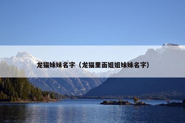 龙猫妹妹名字（龙猫里面姐姐妹妹名字）