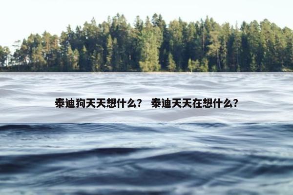 泰迪狗天天想什么？ 泰迪天天在想什么？